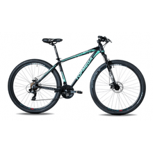 BICICLETA TOPMEGA SUNSHINE R29 21V F/D ALUM T.M