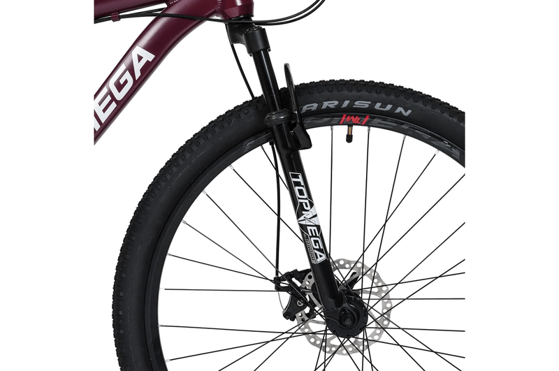 Bicicleta-Mtb-Topmega-Sunshine-R29-21v-CoralVioleta-Talle-S7.png