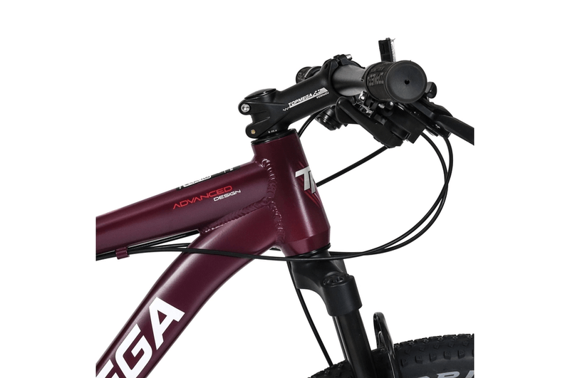 Bicicleta-Mtb-Topmega-Sunshine-R29-21v-CoralVioleta-Talle-S5.png