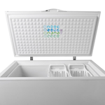 Freezer Enfriadora Horizontal Inelro Fih 270 Dual 23.png