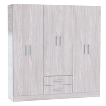 PLACARD ORLANDI 3304/3504 1.81 JACARANDA