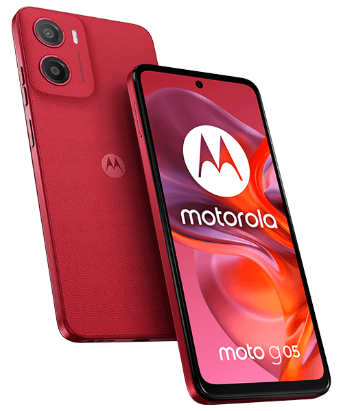 descarga - 2025-08-05T144418.575