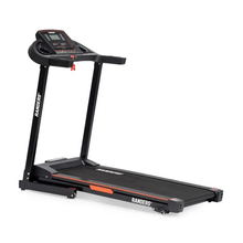 Cinta Motorizada Randers ARG‑466