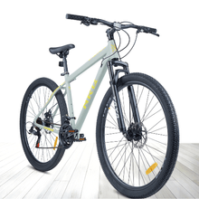 Bicicleta Enrique NRQ Vertigo 1.0 R29 21V Gris